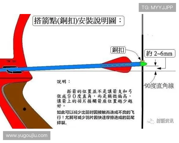 射箭赛事观赛全攻略从基础知识到赛场观战技巧一站式了解